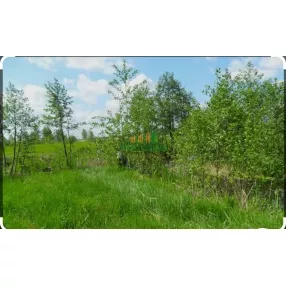 Участок для бизнеса